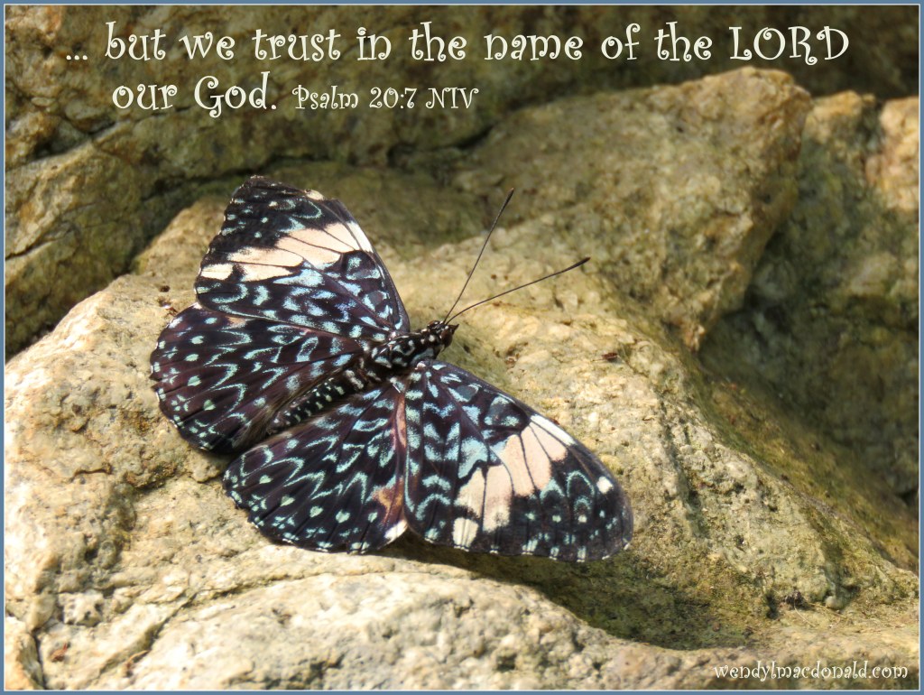 Butterflies and Encouragement for Your Faith by Wendy L. Macdonald for greenlightlady.wordpress.com