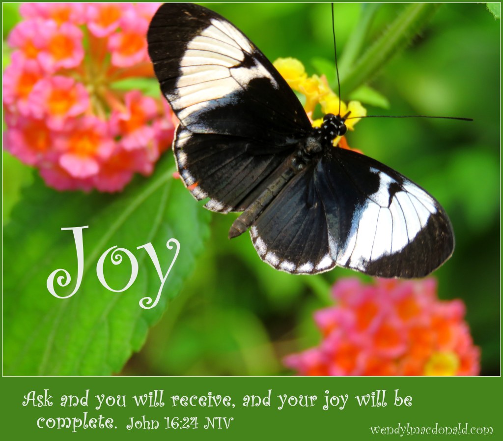 Butterflies and Encouragement for Your Faith by Wendy L. Macdonald for greenlightlady.wordpress.com
