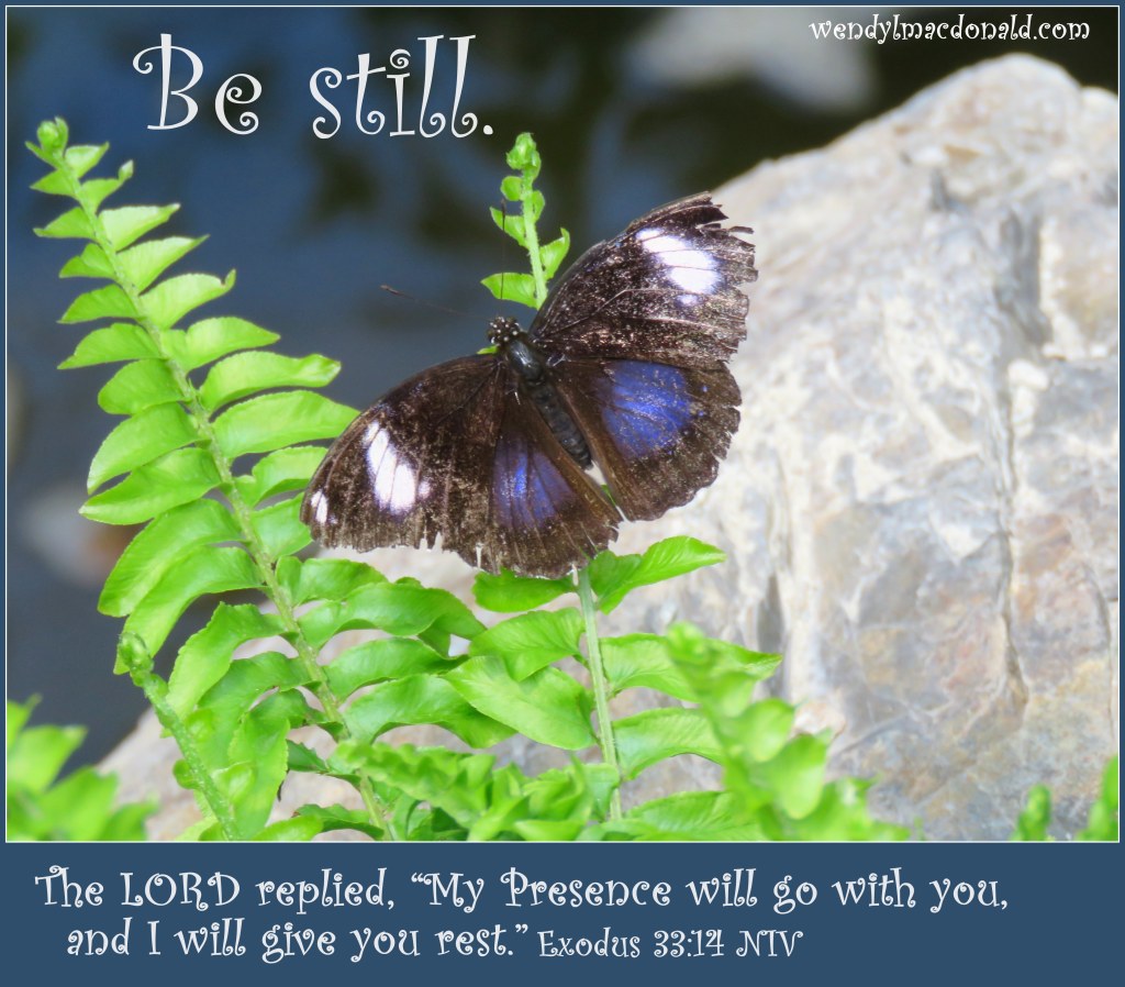 Butterflies and Encouragement for Your Faith by Wendy L. Macdonald for greenlightlady.wordpress.com