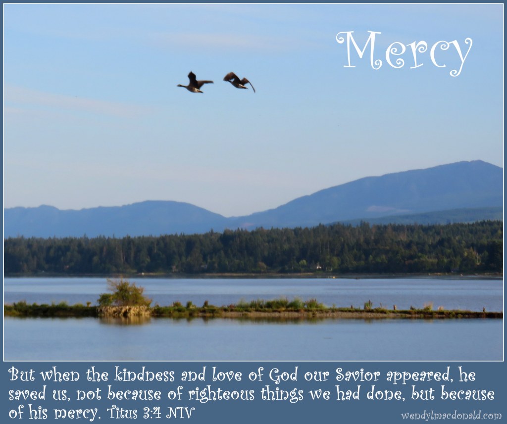 Bible Verses and Poetry to Bless the Heart by Wendy L. Macdonald