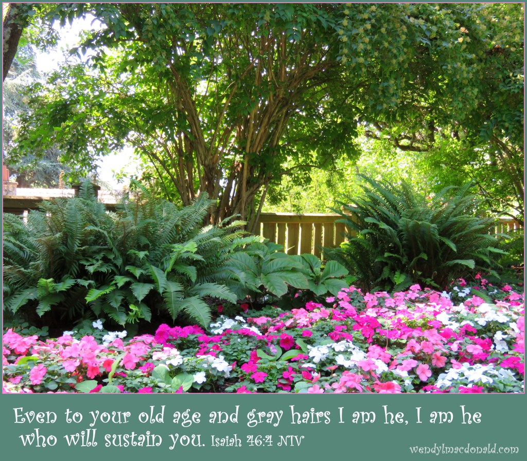 Bible Verses and Poetry to Bless the Heart by Wendy L. Macdonald