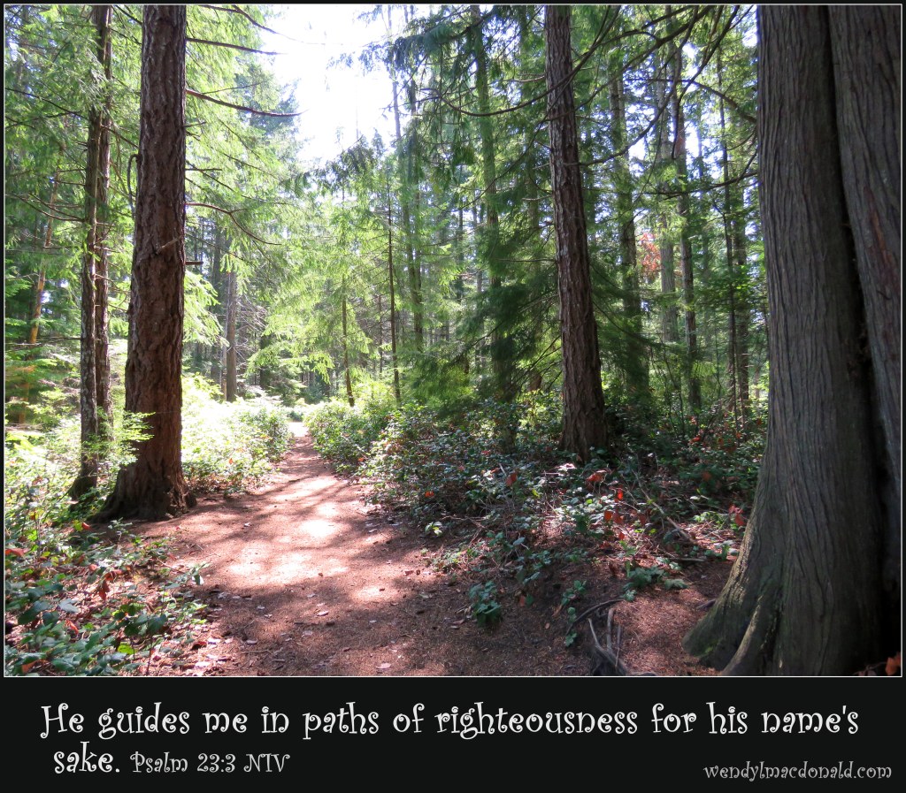 Psalm 23:3 NIV Forest path.