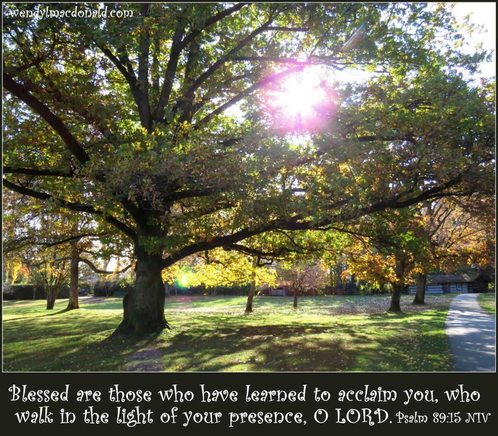 Blessed are those who have learned to acclaim you, who walk in the light of your presence, O LORD. Psalm 89:15 NIV wendy l macdonald