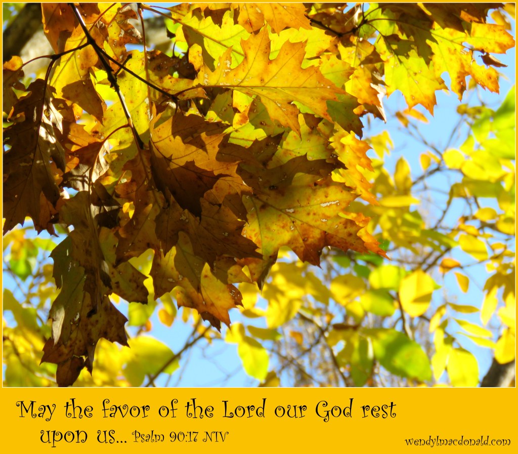 Blessed are those who have learned to acclaim you, who walk in the light of your presence, O LORD. Psalm 89:15 NIV wendy l macdonald