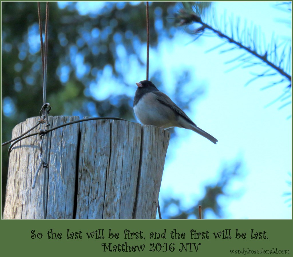 Last but Not Lost: Biblical Encouragement Wendy L. Macdonald
