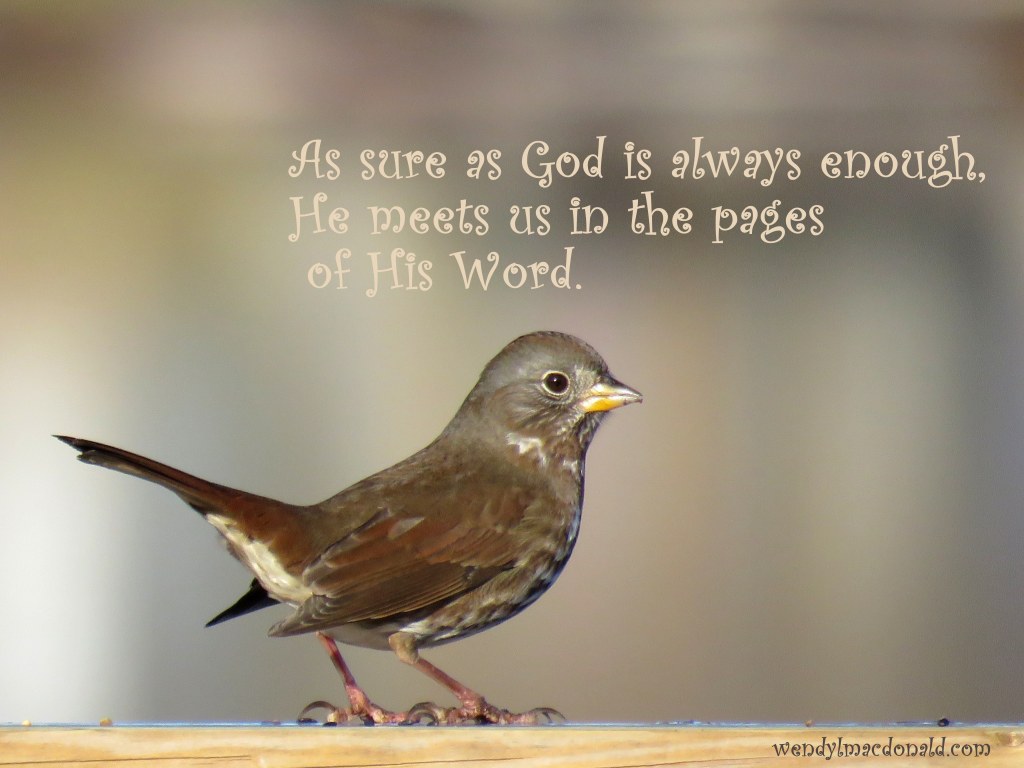 A Kiss of Kindness: Finding God’s Comfort wendylmacdonald.com