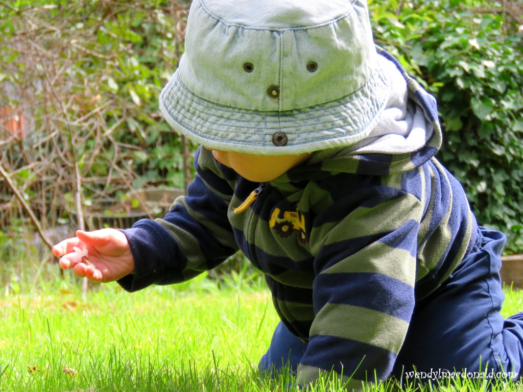 Our Apple Tree of Hope #Marriage wendylmacdonald.com