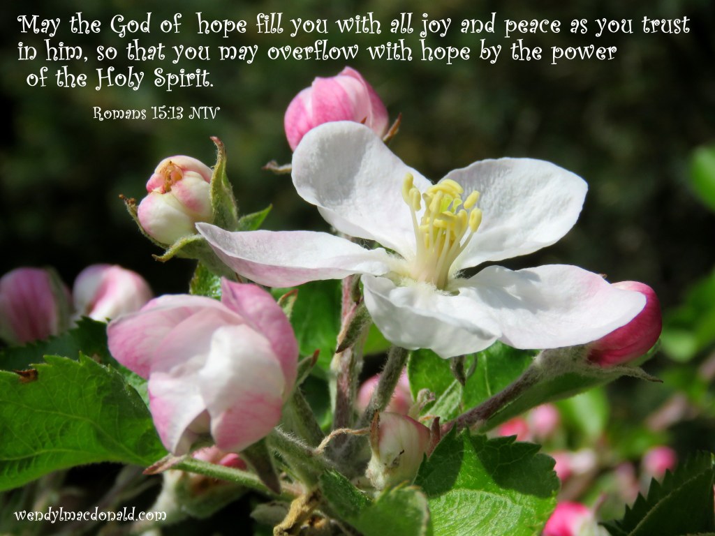 Our Apple Tree of Hope #Marriage wendylmacdonald.com