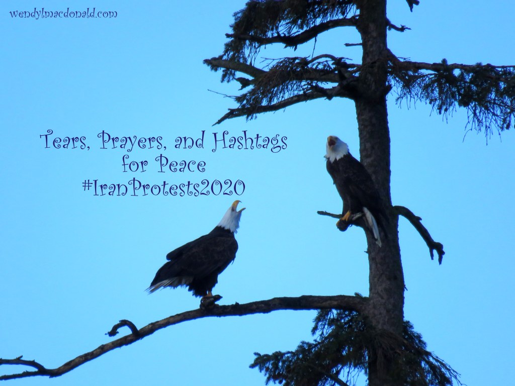 Tears, Prayers, and Hashtags for Peace #IranProtests2020 wendylmacdonald.com