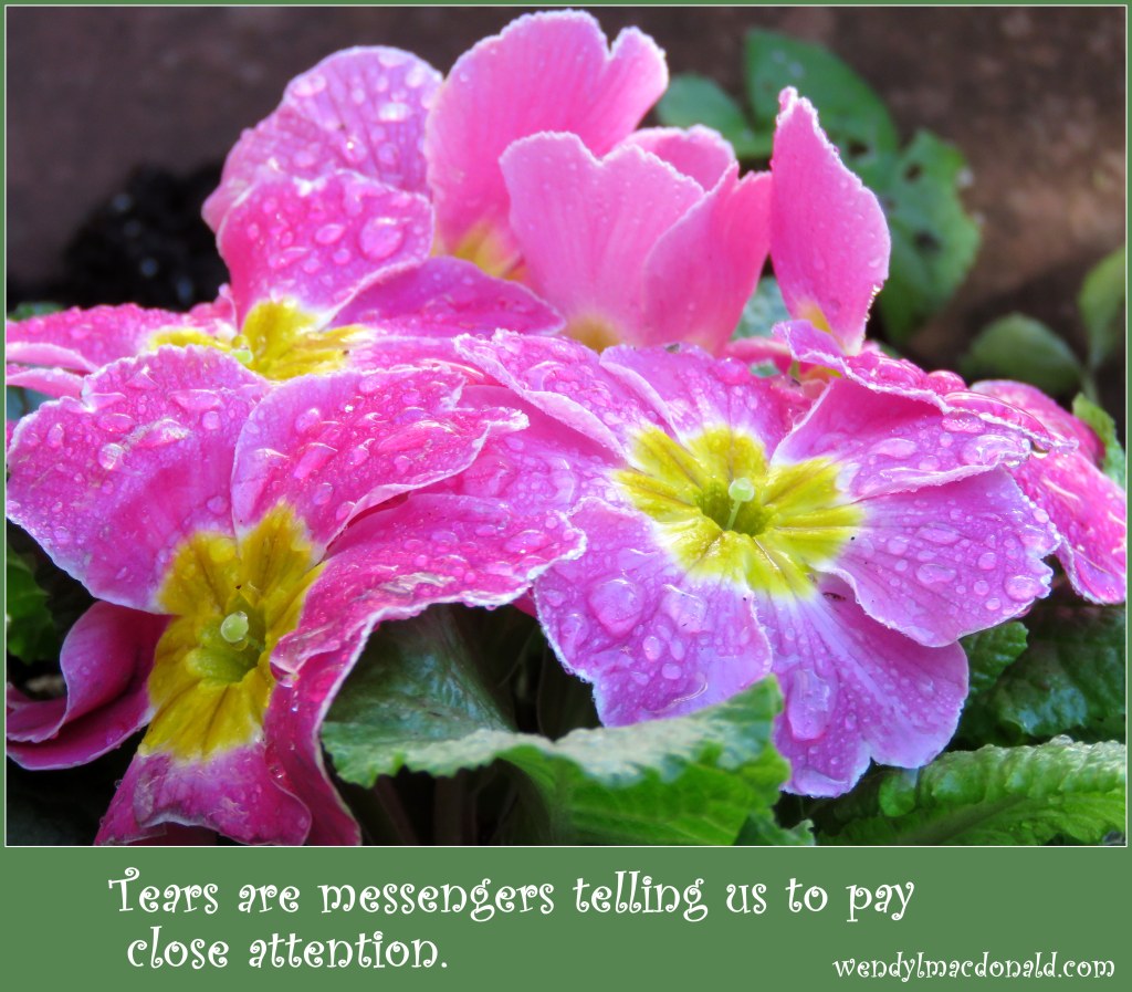 Tapping into Tears: #Praying Parents wendylmacdonald.com