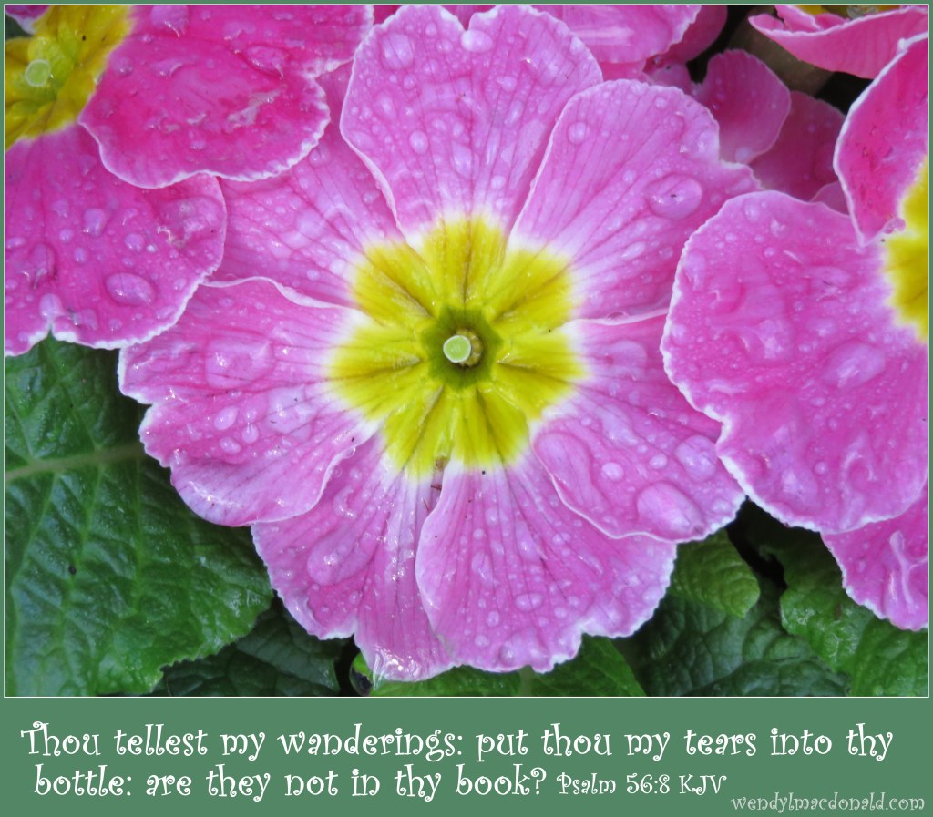 Tapping into Tears: #Praying Parents wendylmacdonald.com 