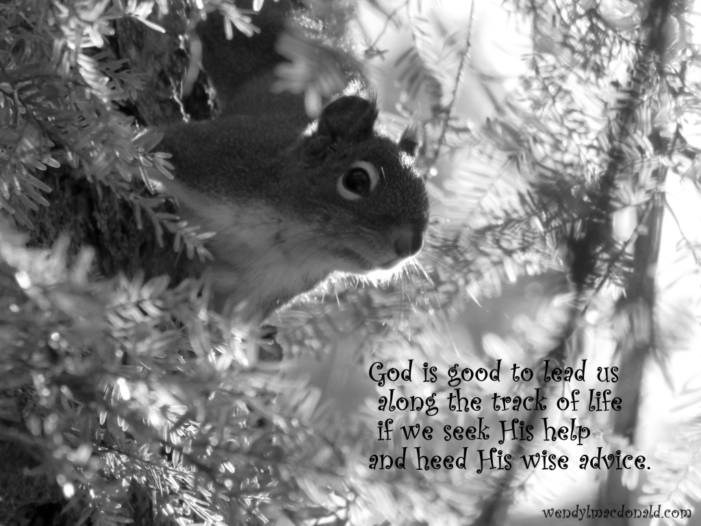 Car by Car: Encouragement for the #writerslife by Wendy L. Macdonald wendylmacdonald.com