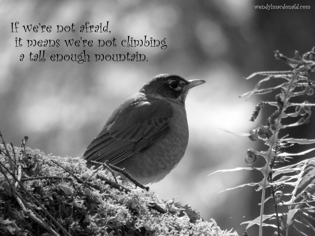 Car by Car: Encouragement for the #writerslife by Wendy L. Macdonald wendylmacdonald.com