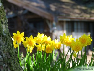 Let’s Wash Our Hands #Prolife wendylmacdonald.com