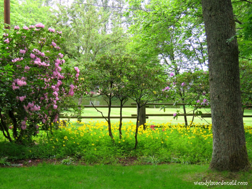 Jesus Banned Priviledge #EqualityForAll wendylmacdonald.com