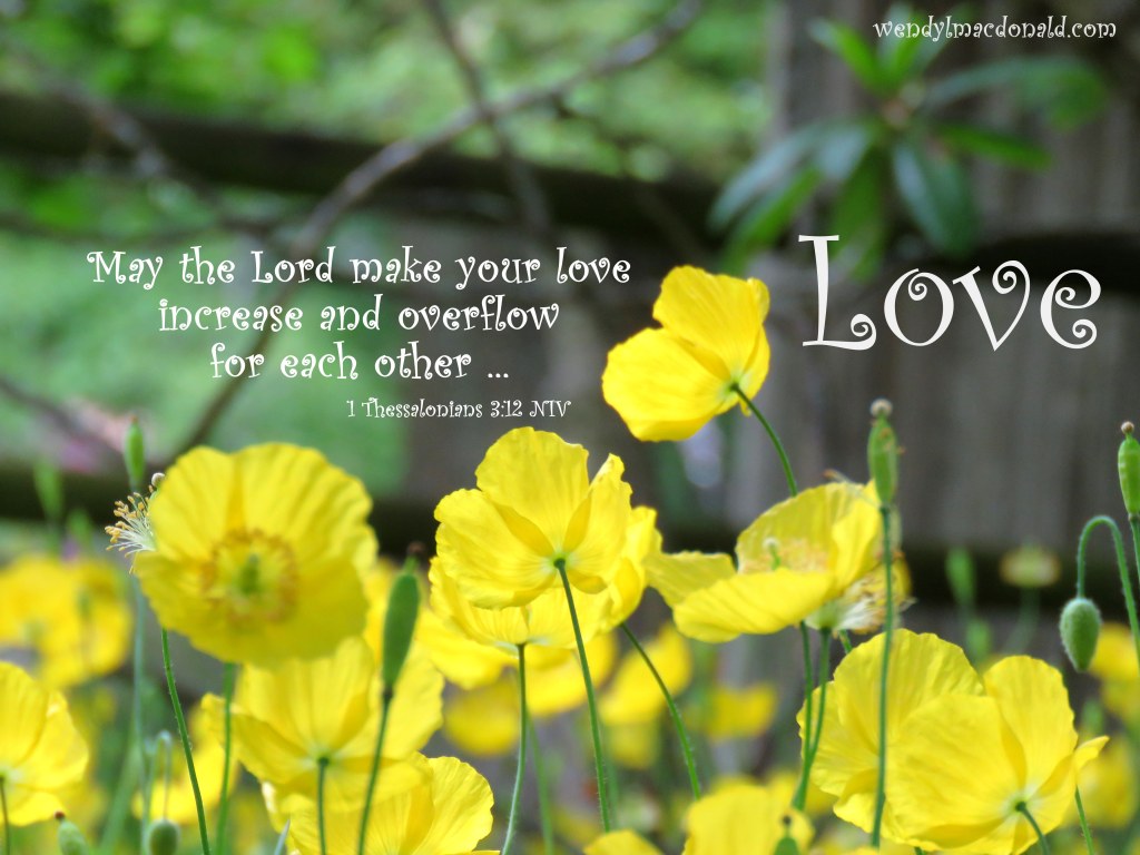 Jesus Banned Priviledge #EqualityForAll wendylmacdonald.com