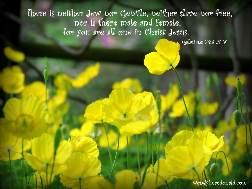 Jesus Banned Priviledge #EqualityForAll wendylmacdonald.com