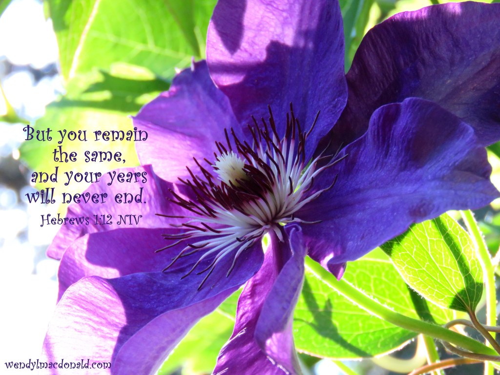 A Dear God Summer #Poem #mygarden wendylmacdonald.com