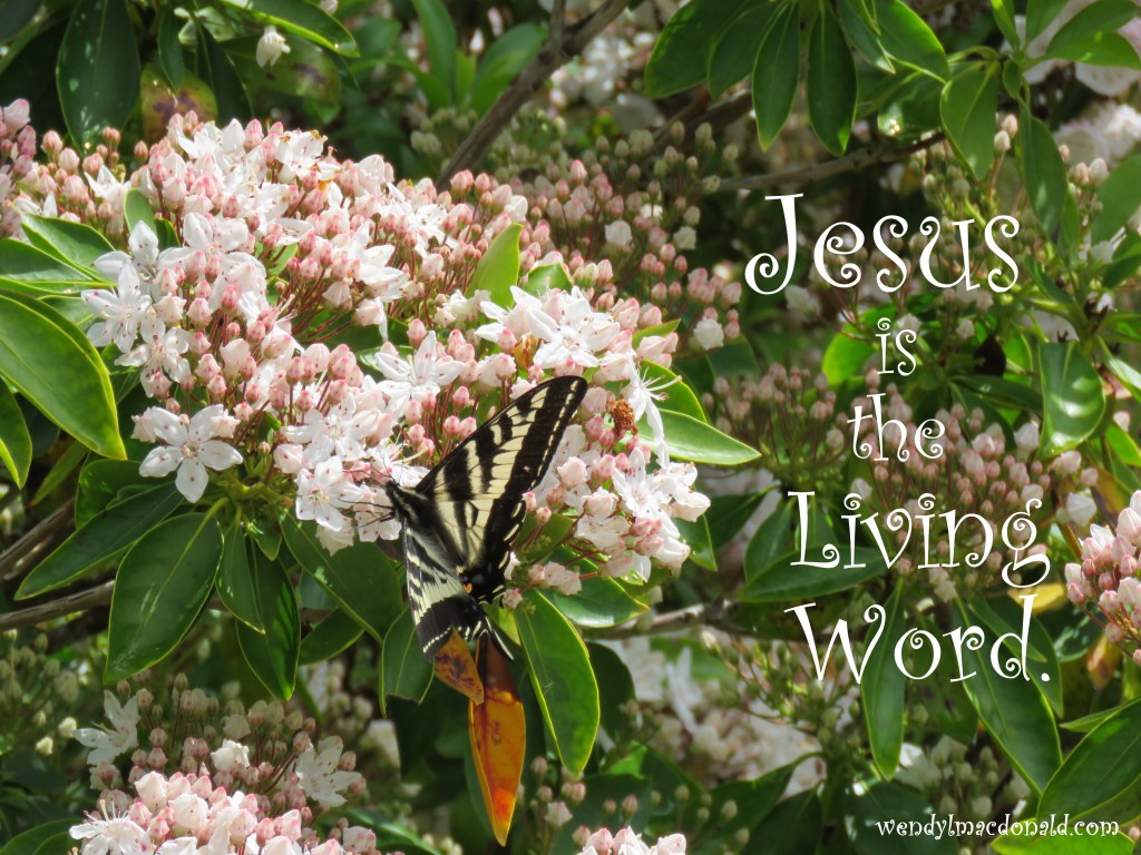 My Madame Butterfly Confession wendylmacdonald.com