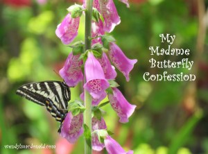 My Madame Butterfly Confession wendylmacdonald.com