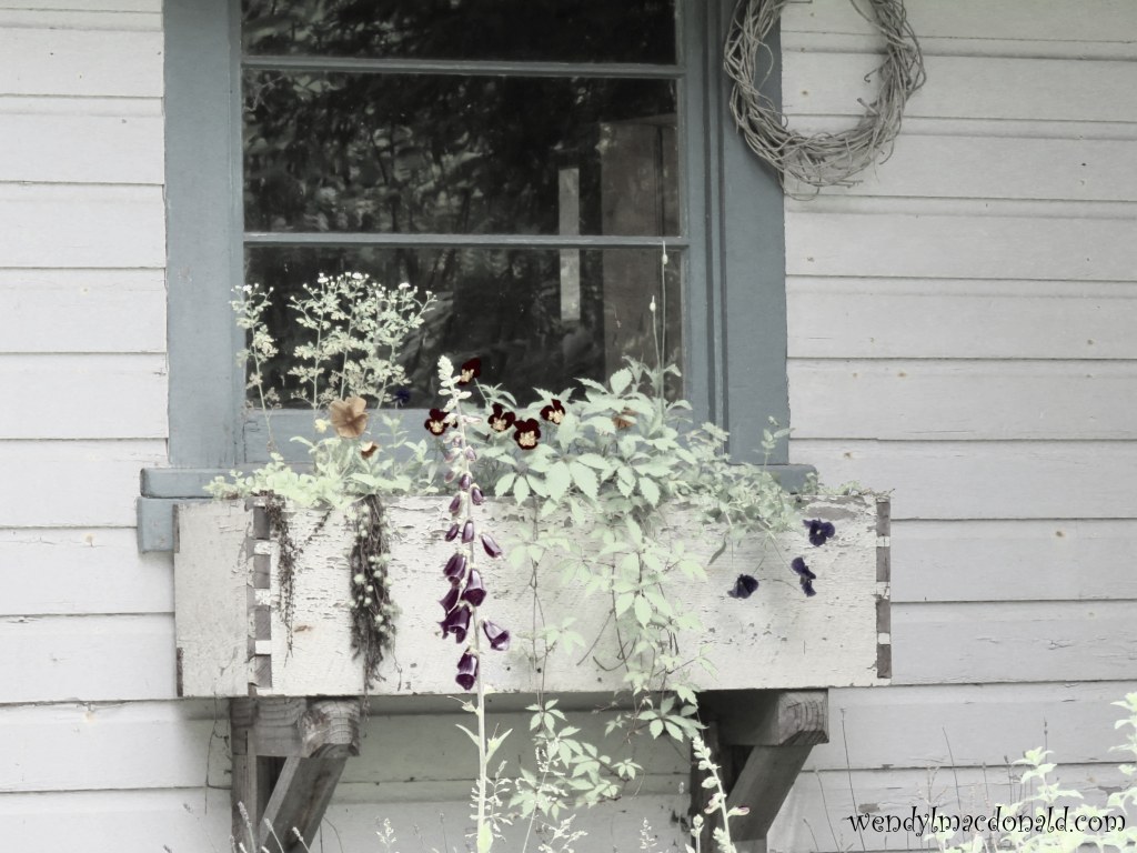 The Sound of #COVID #memoir wendylmacdonald.com