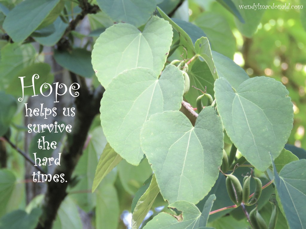 A Revelation to Hang on to When Struggling #mentalhealth wendylmacdonald.com