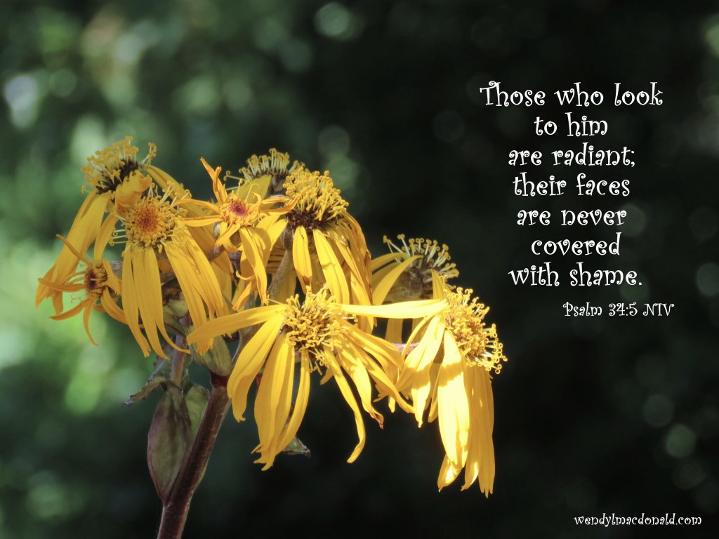 A Revelation to Hang on to When Struggling #mentalhealth wendylmacdonald.com