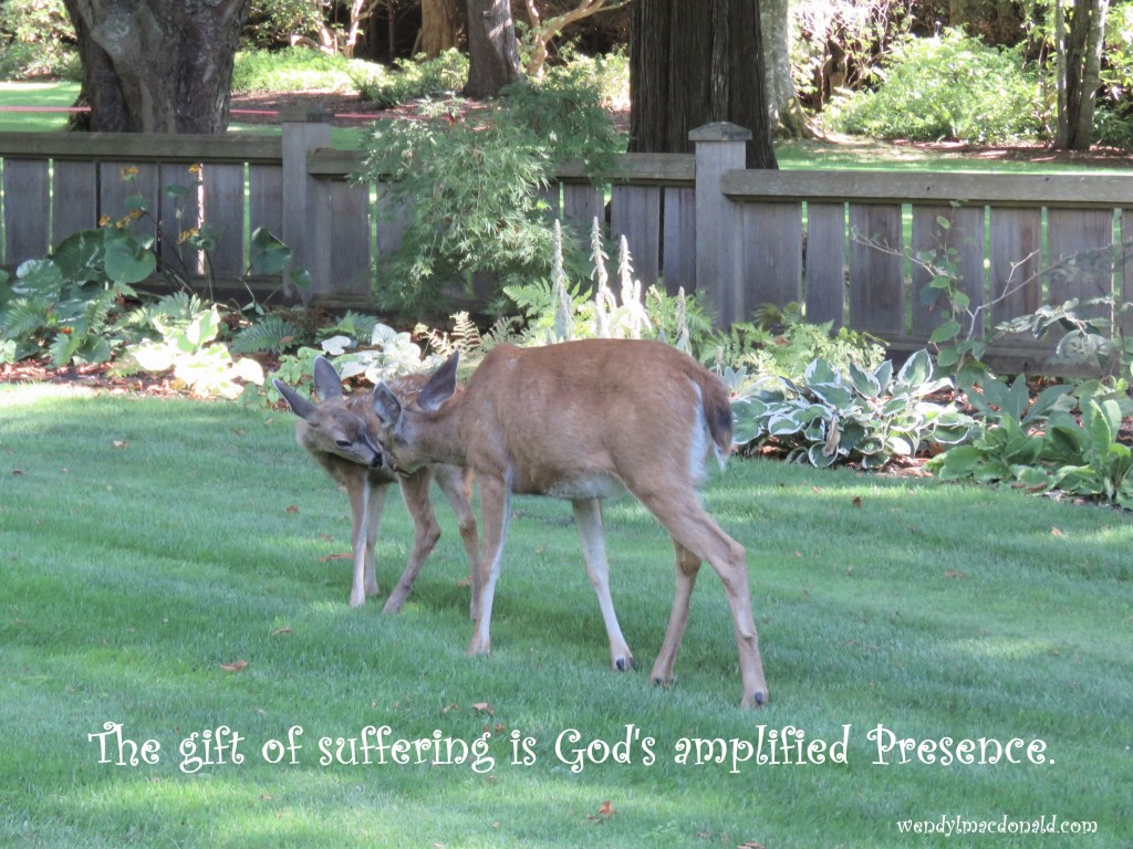 A Revelation to Hang on to When Struggling #mentalhealth wendylmacdonald.com