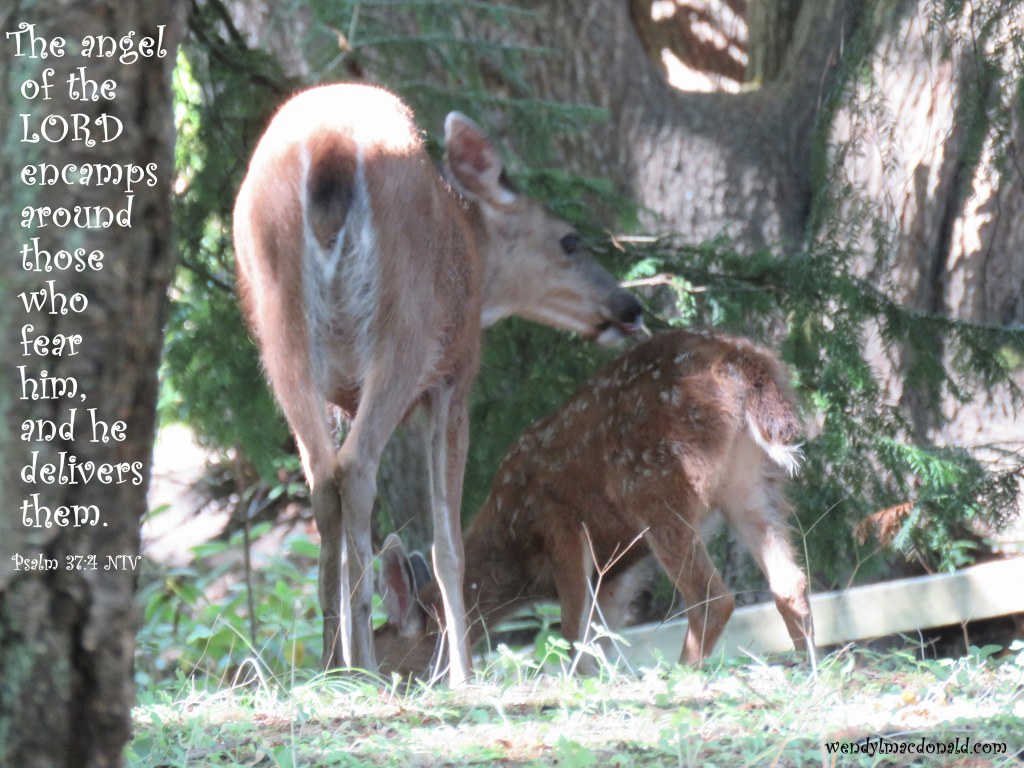 A Revelation to Hang on to When Struggling #mentalhealth wendylmacdonald.com