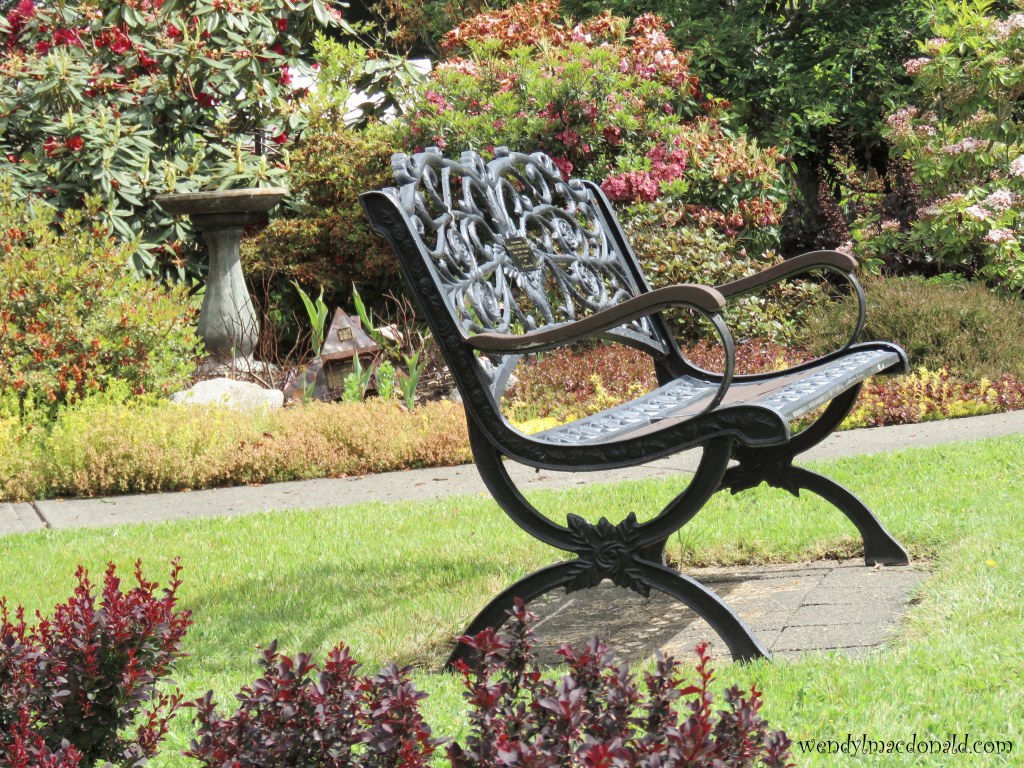 Chasing Butterflies #memoir #amwriting wendylmacdonald.com