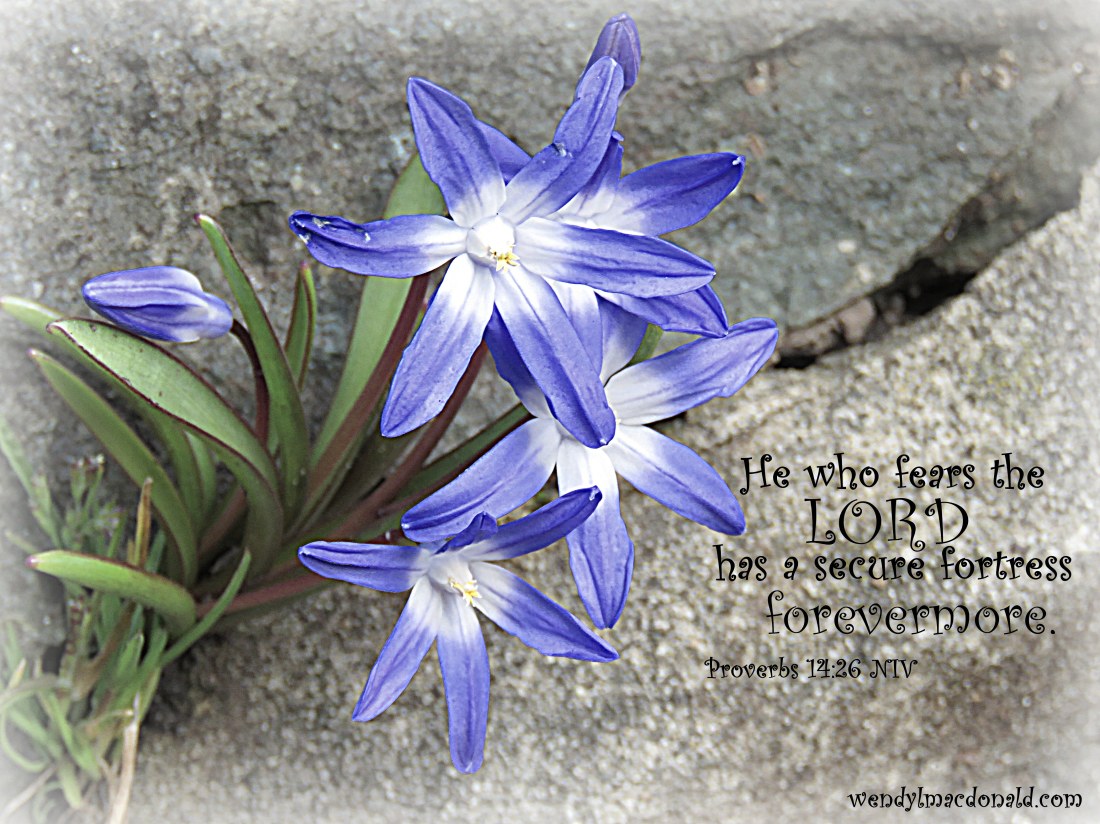 A Case for Compassionate Self-Talk wendylmacdonald.com