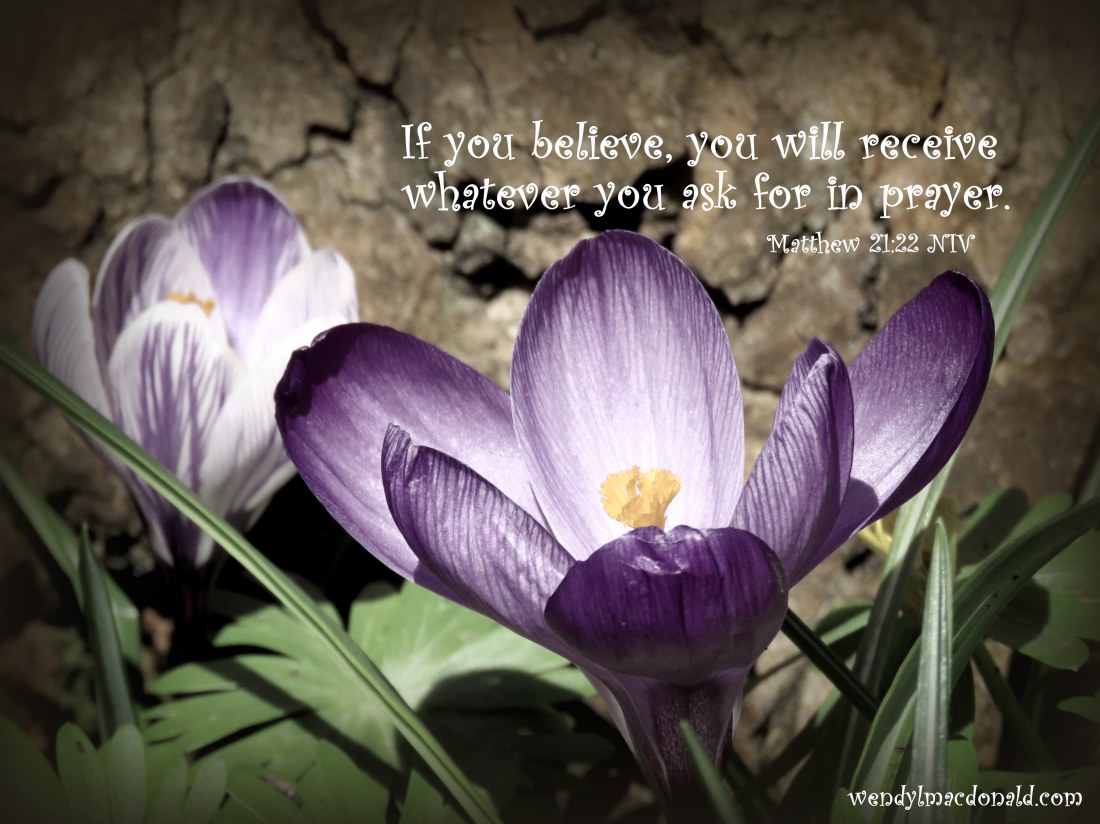 A Case for Compassionate Self-Talk wendylmacdonald.com
