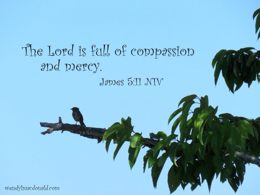 Trusting God When Life is Complicated wendylmacdonald.com #podcast #faith