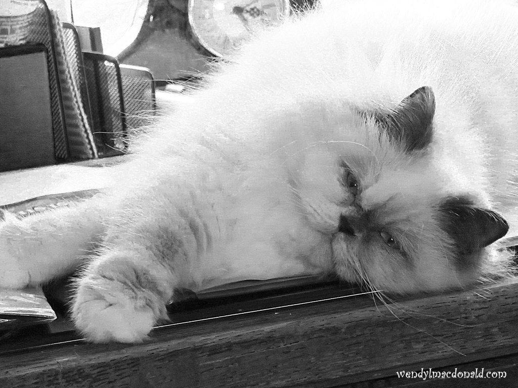 Hearing God Through Prayers wendylmacdonald.com