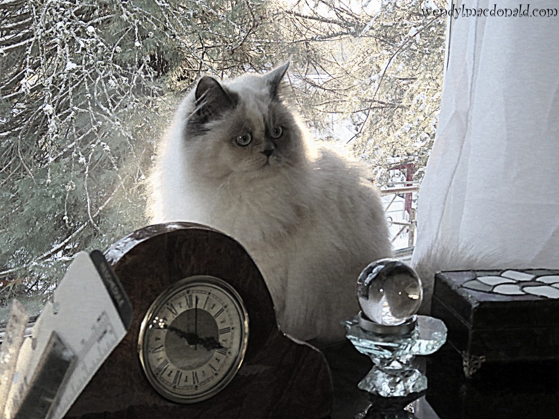 A Case for Compassionate Thoughts wendylmacdonald.com