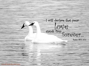 Hearing God Through Nature wendylmacdonald.com