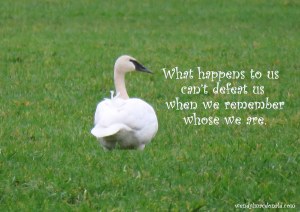 Is Fear a Sin? Hope Walking with Wendy #Podcast wendylmacdonald.com