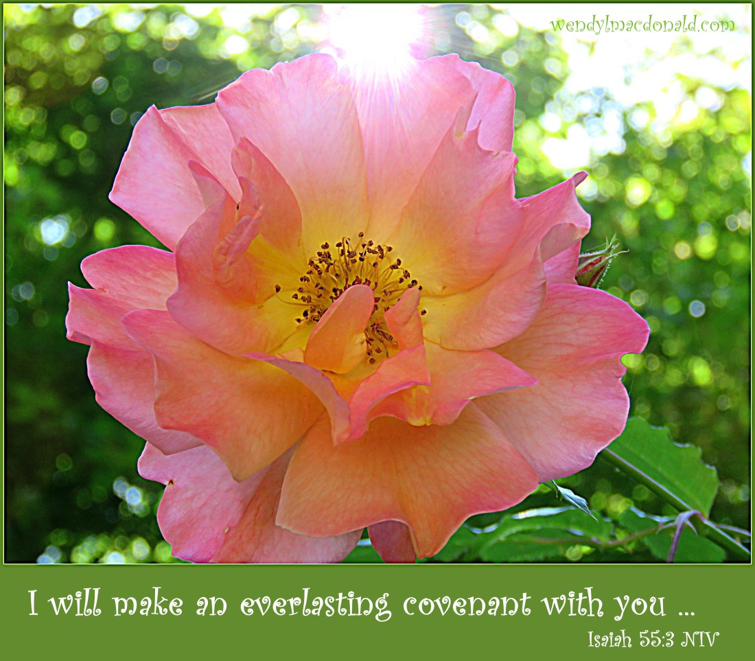 Hearing God Through Tears wendylmacdonald.com