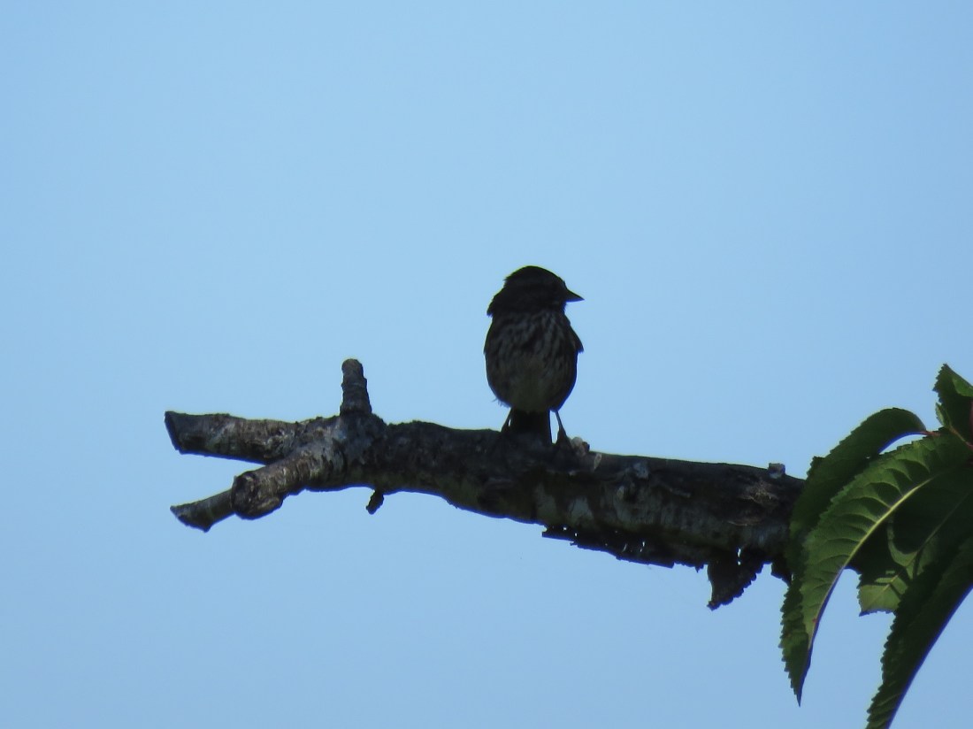 Trusting God When Life is Complicated wendylmacdonald.com #podcast #faith