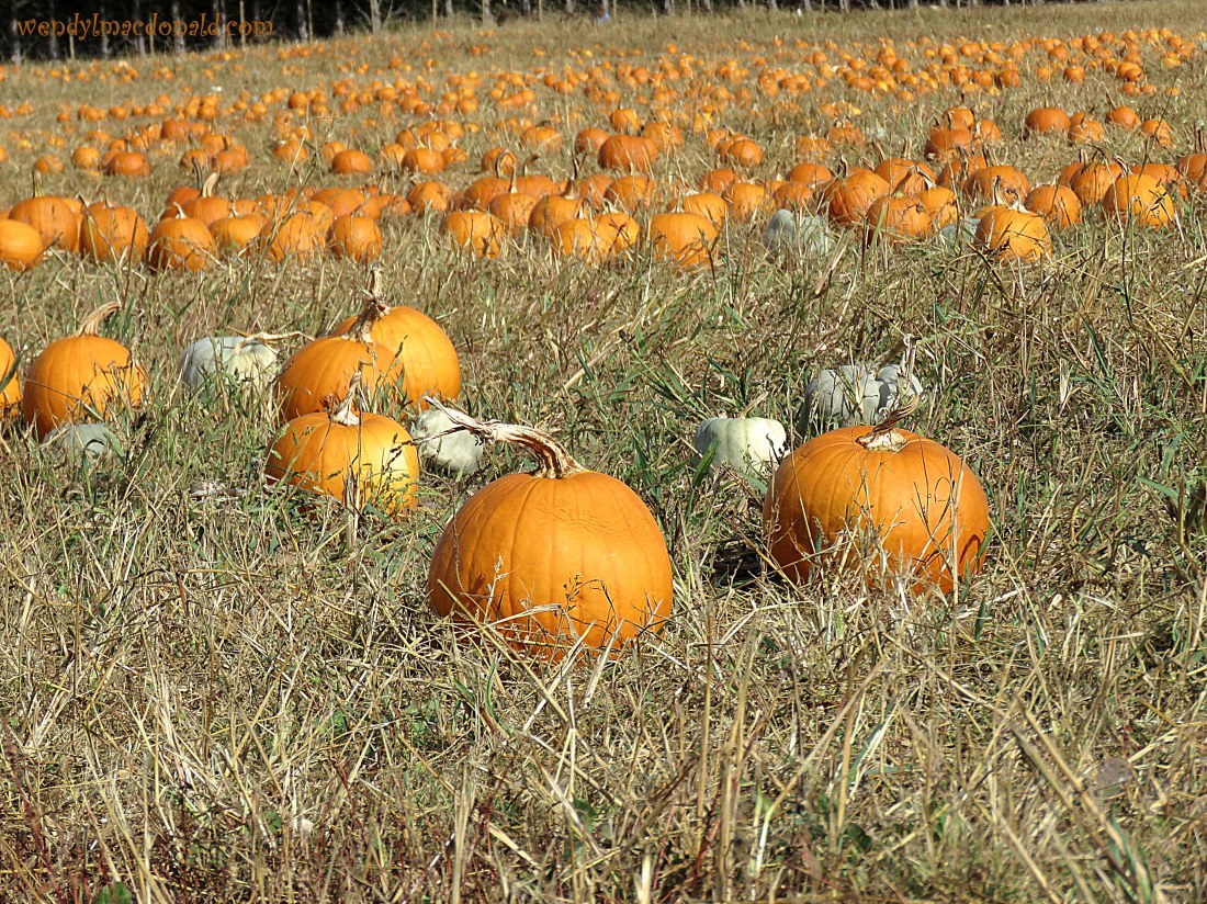 Hearing God Through Others wendylmacdonald.com