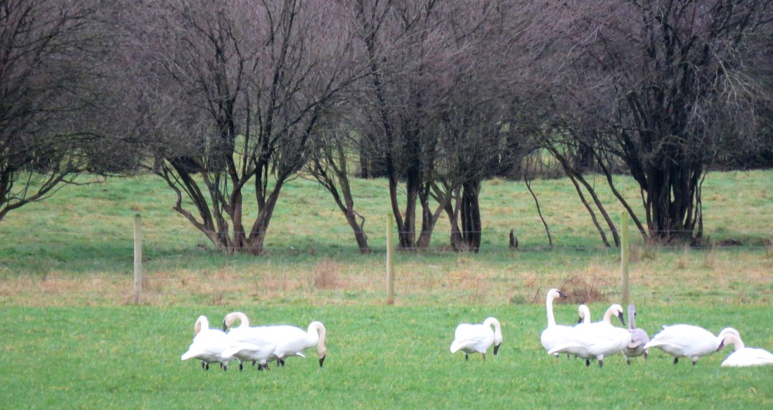 Is Fear a Sin? Hope Walking with Wendy #Podcast wendylmacdonald.com