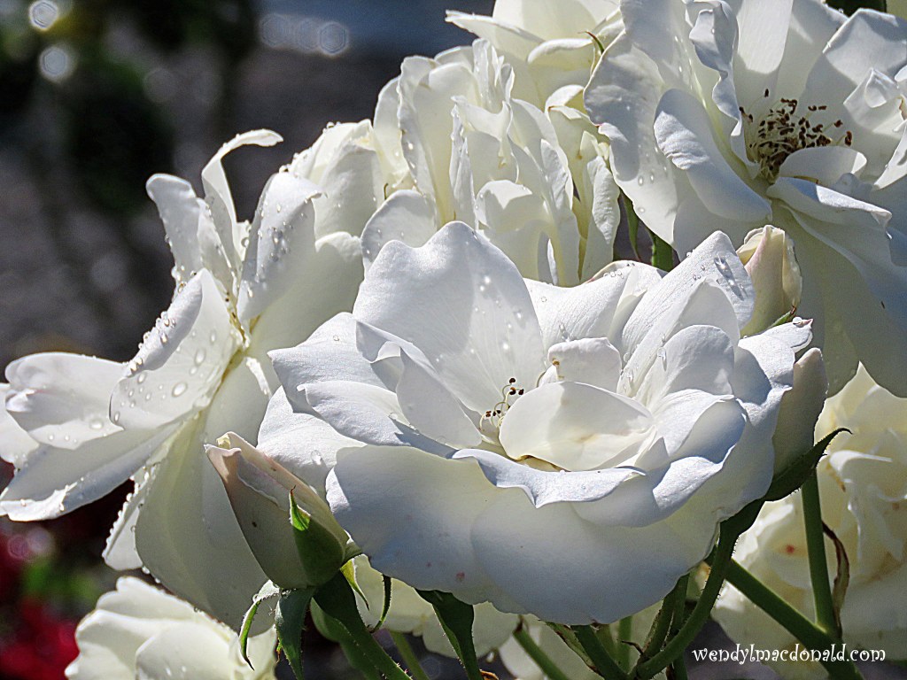 Hearing God Through Prayers wendylmacdonald.com