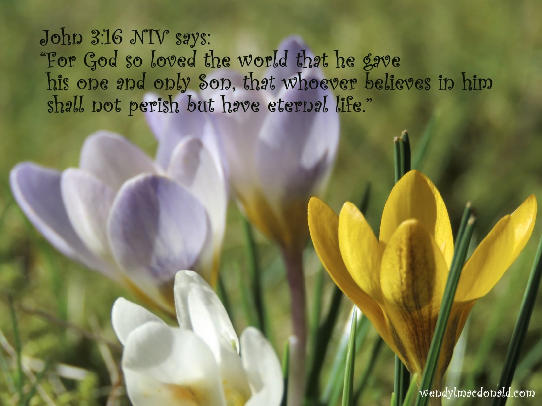 A Case for Compassionate Main Characters wendylmacdonald.com