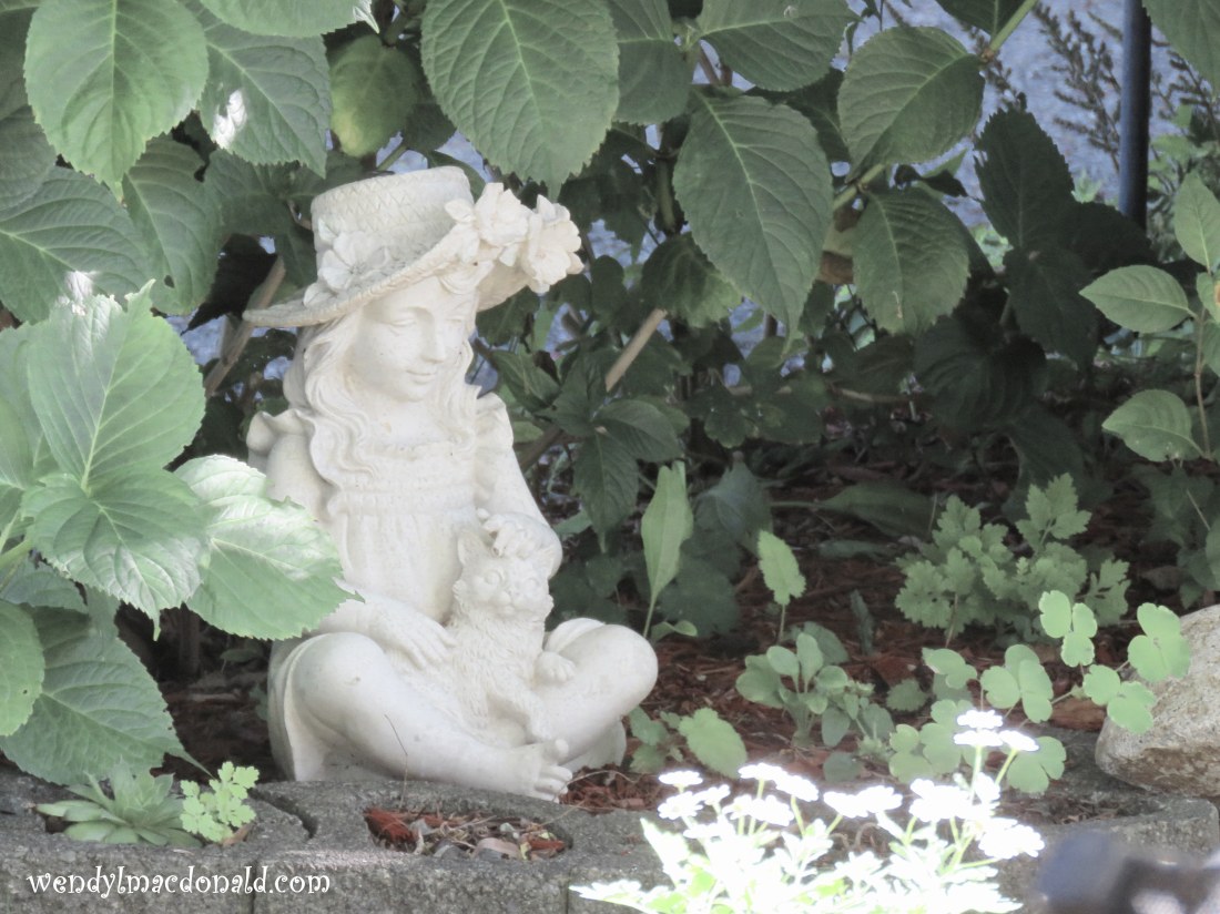 Trusting God When We Witness Suffering wendylmacdonald.com