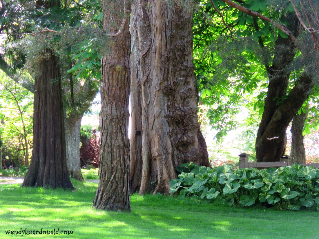 Is Fear a Fiend or Friend? Wendy L. Macdonald wendylmacdonald.com