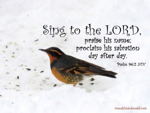 Hearing God Through Nature wendylmacdonald.com