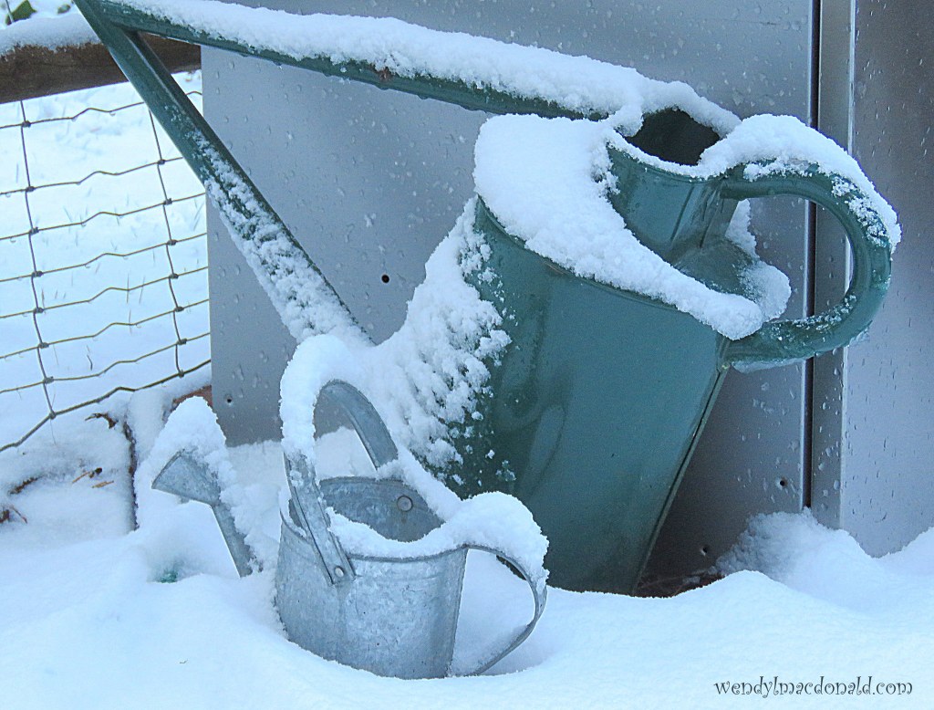 What's the Greatest Gift We Can Give? Part 4 wendylmacdonald.com