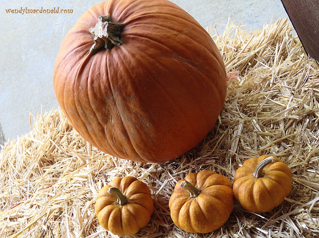 Hearing God Through Others wendylmacdonald.com