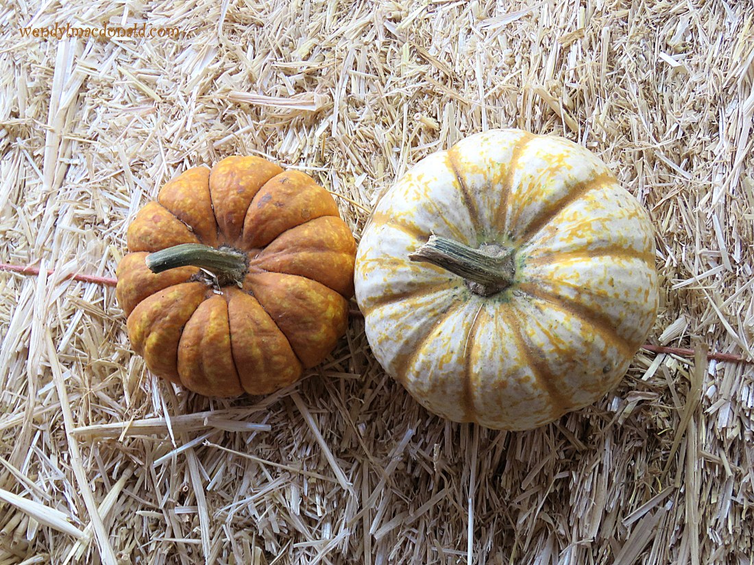 Hearing God Through Others wendylmacdonald.com