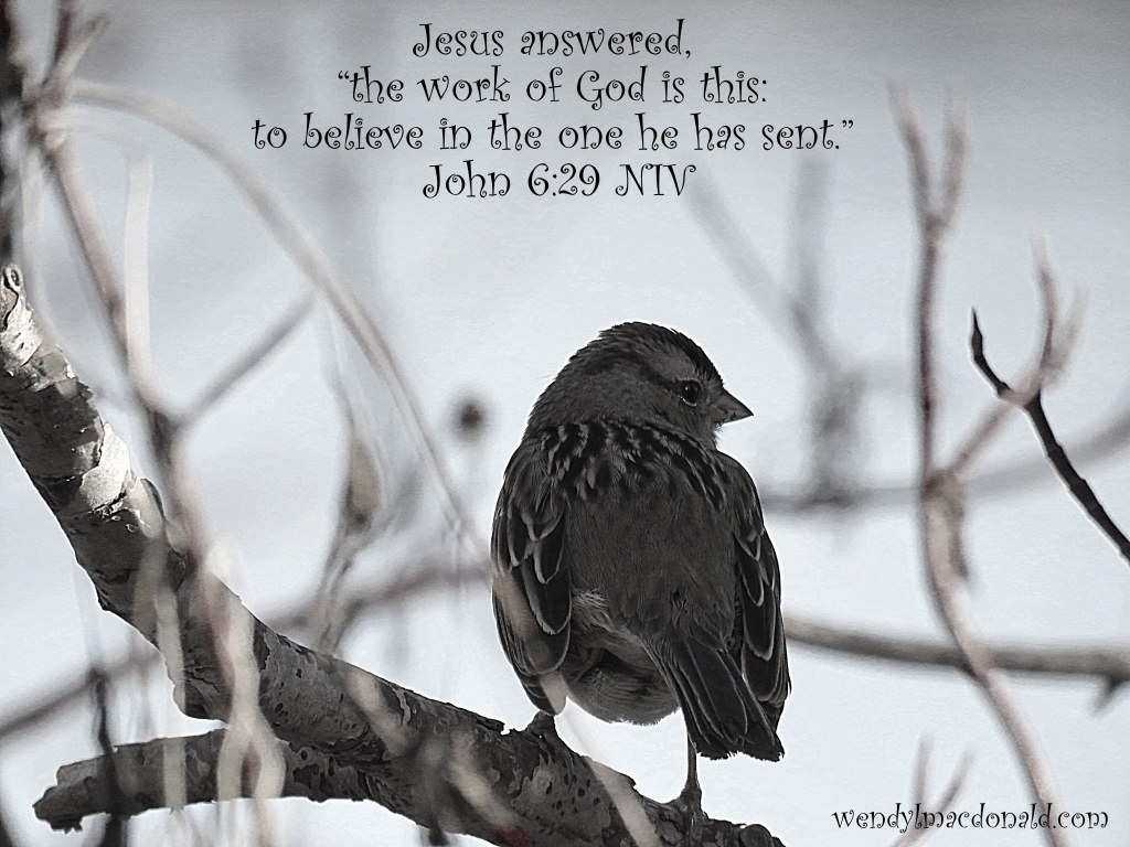 What’s the Greatest Gift We Can Give? - Part 3 wendylmacdonald.com